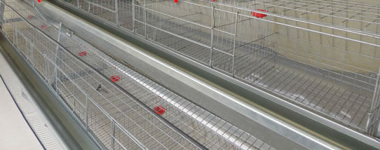 Battery Cage Racks for Rabbit Breeding